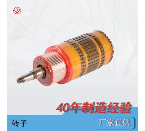 ZQ-1.9輔助直流牽引電機(jī)電樞（250V，550V）
